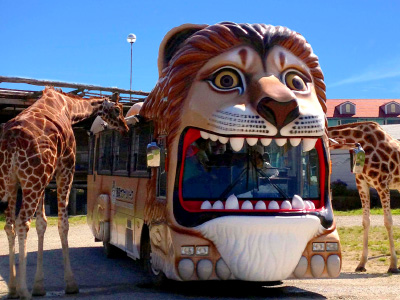 那須サファリパーク21 割引はネットで前売り券がお得 れみ 世の中の気になる情報まとめ